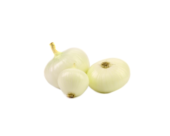 Buy Onion Cipollini Peeled Fresco